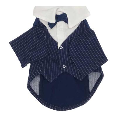 宠物西装网红礼物写真帅气结婚礼