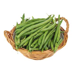 不搭架豆角种子无筋四季豆种籽矮生豇豆籽美国无架豆地豆种子大全