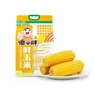 【头茬玉米】傻小胖甜糯玉米棒即食新鲜真空东北大苞米家庭实惠