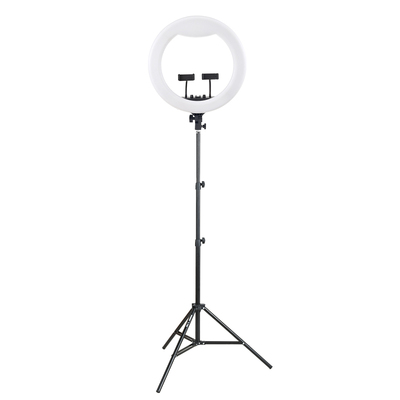 【户外补光】金贝环形美颜直播灯