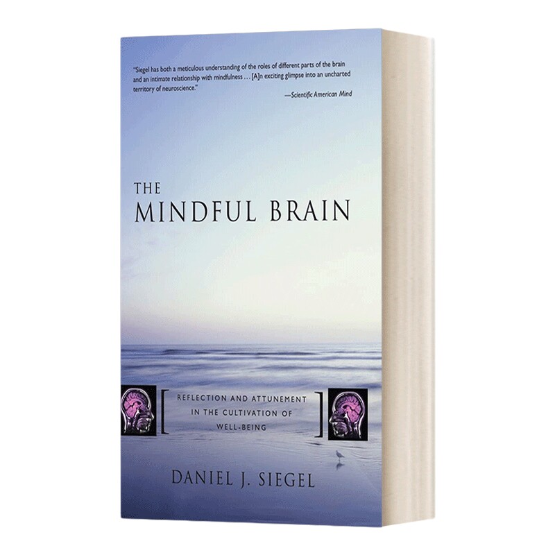 英文原版 The Mindful Brain 正念之脑 大脑神经学与冥想的整合运用 精装 英文版 进口英语原版书籍