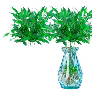 竹柏驱蚊竹水培祛蚊植物室内外蚊子克星水养绿植花卉盆栽办公桌面