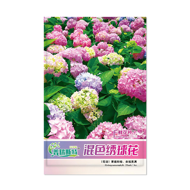 普瑞斯特混色绣球花种子