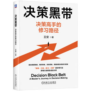 官网正版 决策黑带:决策高手的修习路径 王安 决策优化 决策框架 数据决策 博弈思维 系统思维 影响他人决策 机械工业出版社