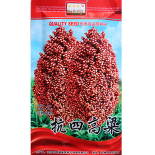 高粱种子 大田种植高产包邮酿酒高粱籽抗四杂交 高粱种子杂粮易种