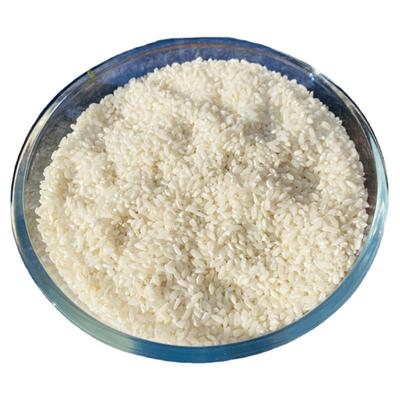 贵朝米桂朝大米潮糙籼米5斤装