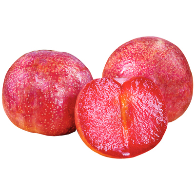 【新疆直发】正宗新疆恐龙蛋李子