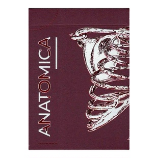 汇奇花切收藏扑克牌 Anatomica 解剖 手绘纸牌艺术潮流卡牌