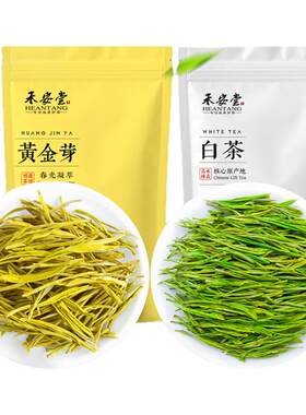 口粮茶雨前安吉白茶黄金芽组合装