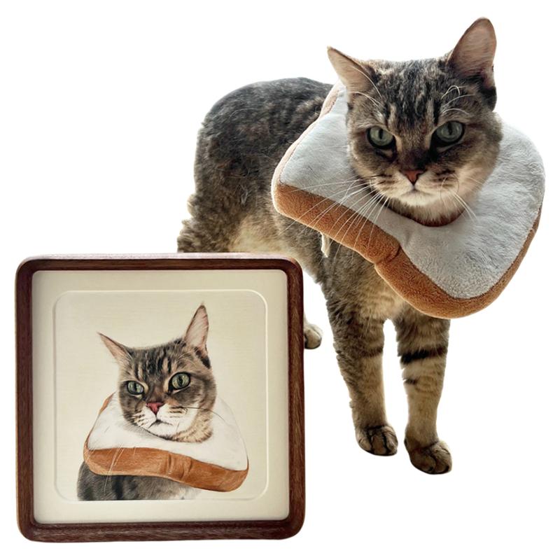 宠物素描彩铅画像定制手绘猫咪狗狗萌宠动物画鸟龟兔鼠铅笔手绘画
