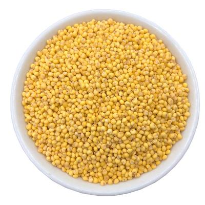 大黄米农家黍米软粘黄米新米