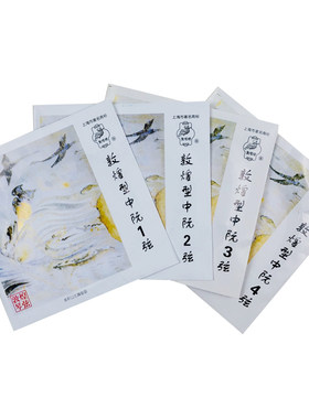 1234号中阮敦煌型上海一厂琴弦
