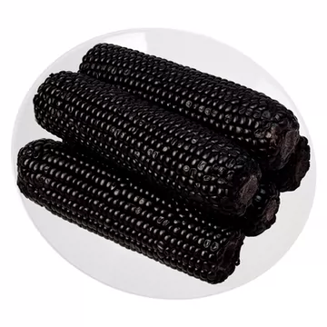 首单1开源保丰黑糯玉米220g*3支