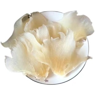 阳江渔港大号海狗翅深海鳐鱼翅干货鱼刺翅海鲜干货煲汤烧烤浦鱼翅