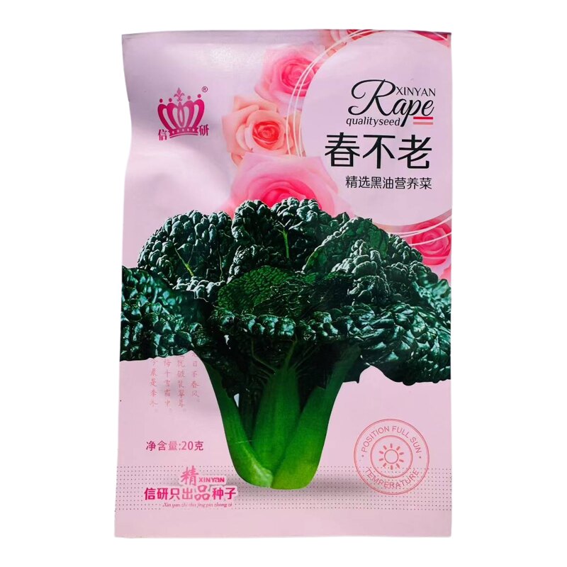 信研春不老黑油菜种子耐寒黑油白菜种籽易种口感好秋冬季蔬菜种籽