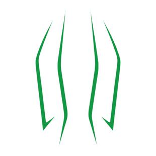 适用于川崎摩托车头拉花忍者NINJA400 H2 H2SX防水防晒贴纸改装饰