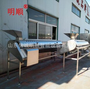 连续式 去趾机设备 凤爪鸭爪打爪机大产量鸡爪脱皮生产线全自动卧式