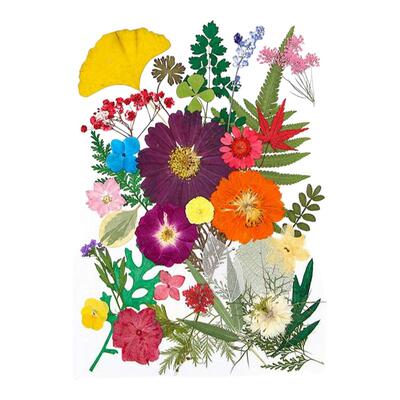 风干永生花diy滴胶材料包天然