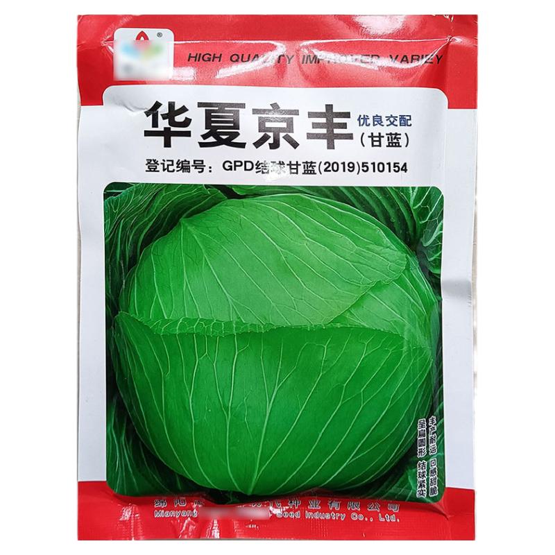 甘蓝华夏京丰250g莲花白种子孑籽