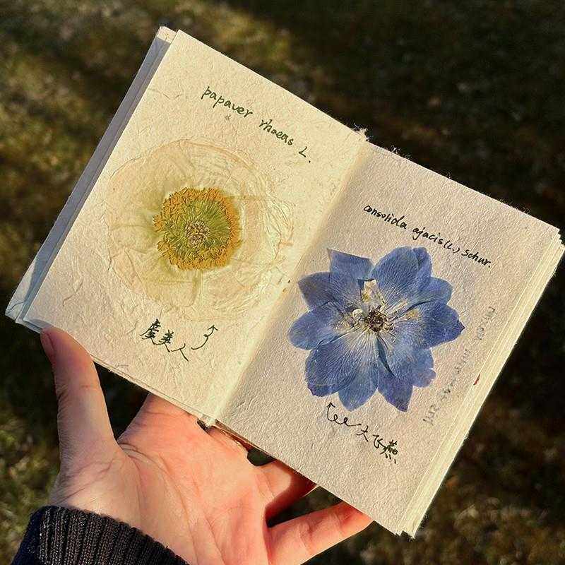 植物压花手账本尼泊尔手工本干花diy材料包标本册创意复古笔记本