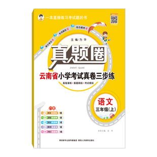 小学真题圈云南省专版2025新版语文数学英语上册下册一二三四五六年级云南省考试真卷期中期末同步专项练习测试卷云南省名校练考卷