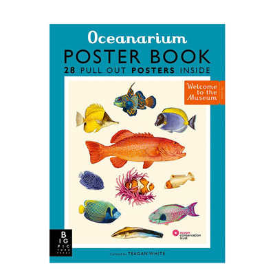 【现货】英文原版 【欢迎来到博物馆】海洋馆：28张可撕海报 【Welcome To The Museum】Oceanarium Poster Book 艺术插画 善优