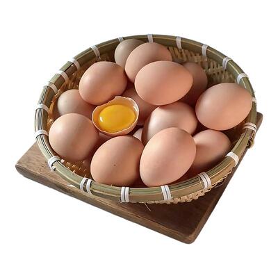 【京东上门】50枚30枚无菌富硒土鸡蛋可生食均重50g杂粮喂养100