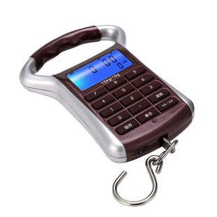 充电手提秤充电计价秤精准电子秤快递称迷弥弹簧钩称家用买卖菜秤