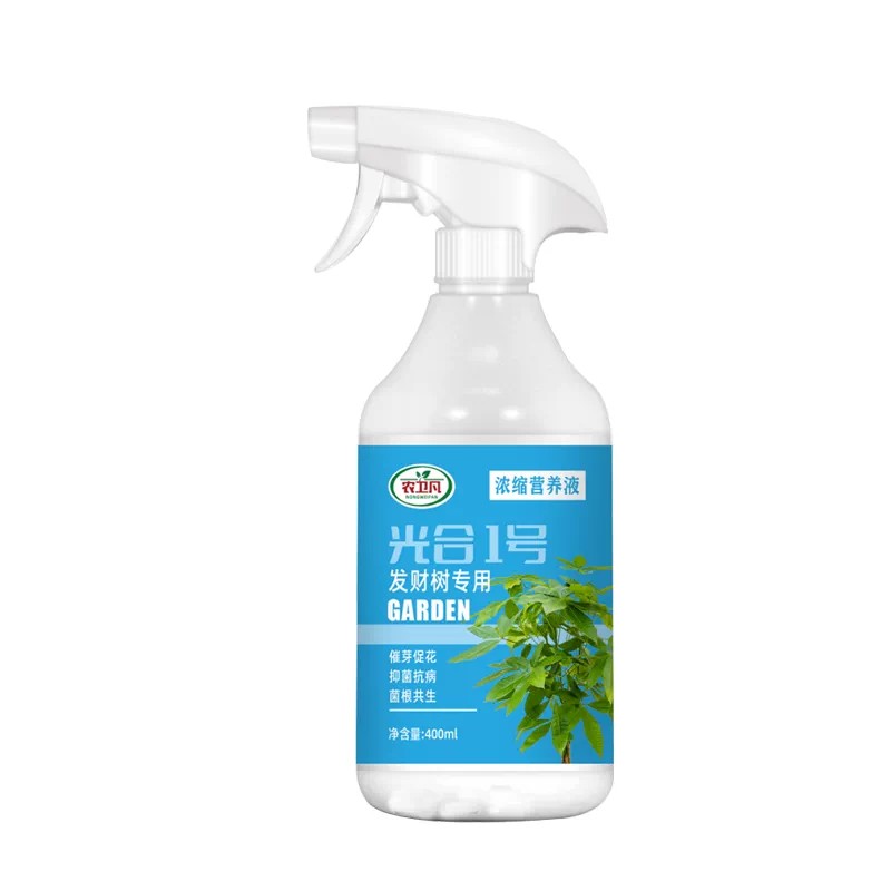 发财树专用,一喷不生病