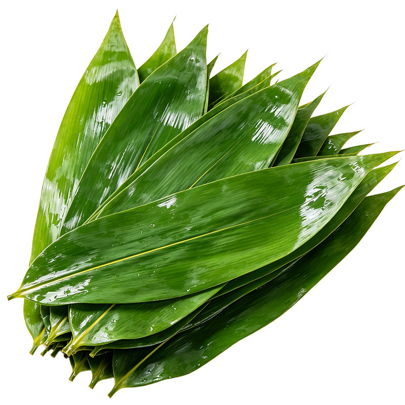特大箬竹粽叶200片现摘送粽绳