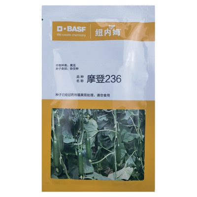 荷兰原装进口摩登236水果黄瓜种