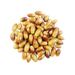 橡子果干花颗粒饱满儿童创意手作材料家居布景节日装饰DIY 相框画