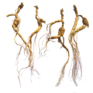 人参移山参残支林下参残枝野参残支足龄足干泡酒煲汤移山参瑕疵品