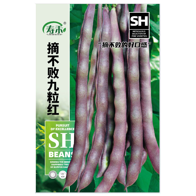 九粒红芸豆种子种籽孑秋豆角架豆扁豆八月忙四季豆摘不败白不老
