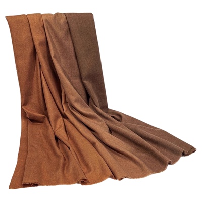 围巾大衣秋冬女高级感披肩两用