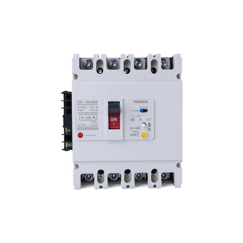天正TGM1L-250L/4310 3N310漏电开关断路器带消防分励脱扣器200A