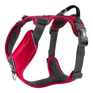 QZee哥本哈根防爆冲运动狗狗Pro胸背带DOG Copenhagen金毛牵引绳