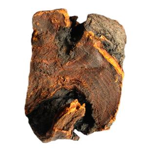 正宗青海省野生中药材优质大黄块马蹄片新鲜干货500g真品直销包邮