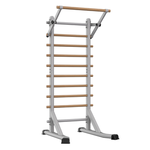 朗益_训练肋木架室内单杠儿童家用一体综合训练器康复器材多功能