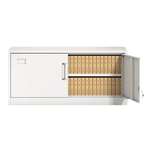 单节文件柜加隔板文件柜办公柜钢制铁皮柜资料柜档案柜储物柜柜子