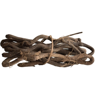 掬涵天然树藤装饰藤条藤蔓鲜软造型森林气氛造景拍摄道具