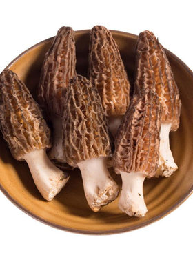 香格里拉雅江特级500g新鲜松茸