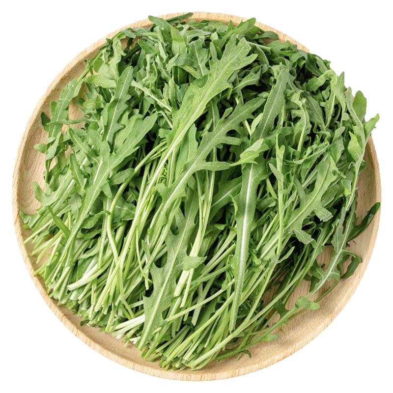 【廊下滋味】芝麻菜500g  新鲜蔬菜沙拉食材 生菜 西餐 火箭菜