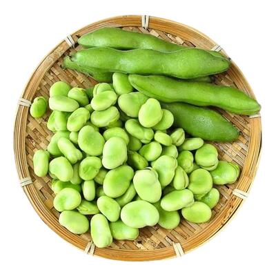 云南带壳蚕豆胡豆新鲜现摘