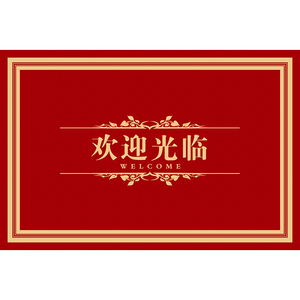 商用地毯地垫2024新款入户门垫室外酒店进门门口迎宾脚垫定制logo