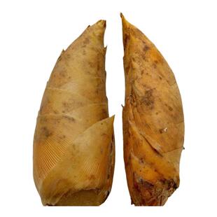 新鲜毛笋临安天目毛笋5斤野生春季笋农家新挖大竹笋深蔬菜火锅菜