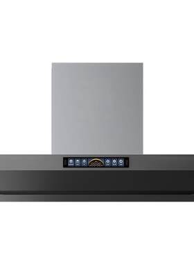 方太顶侧一体V10-G+03-TEK20-G