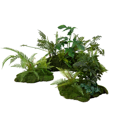 仿真蕨类绿植种造景苔藓植物堆景