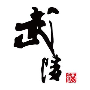 武陵酒30周年酱香型白酒53度500ml*2瓶高档白酒礼盒装