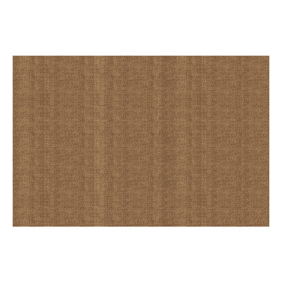 入户门地垫玄关脚垫耐脏防滑地毯